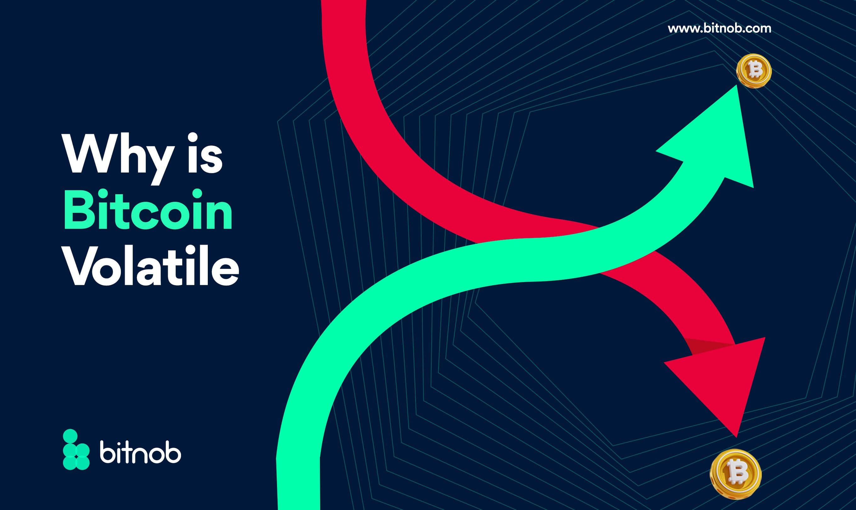 Why Is Bitcoin Volatile?