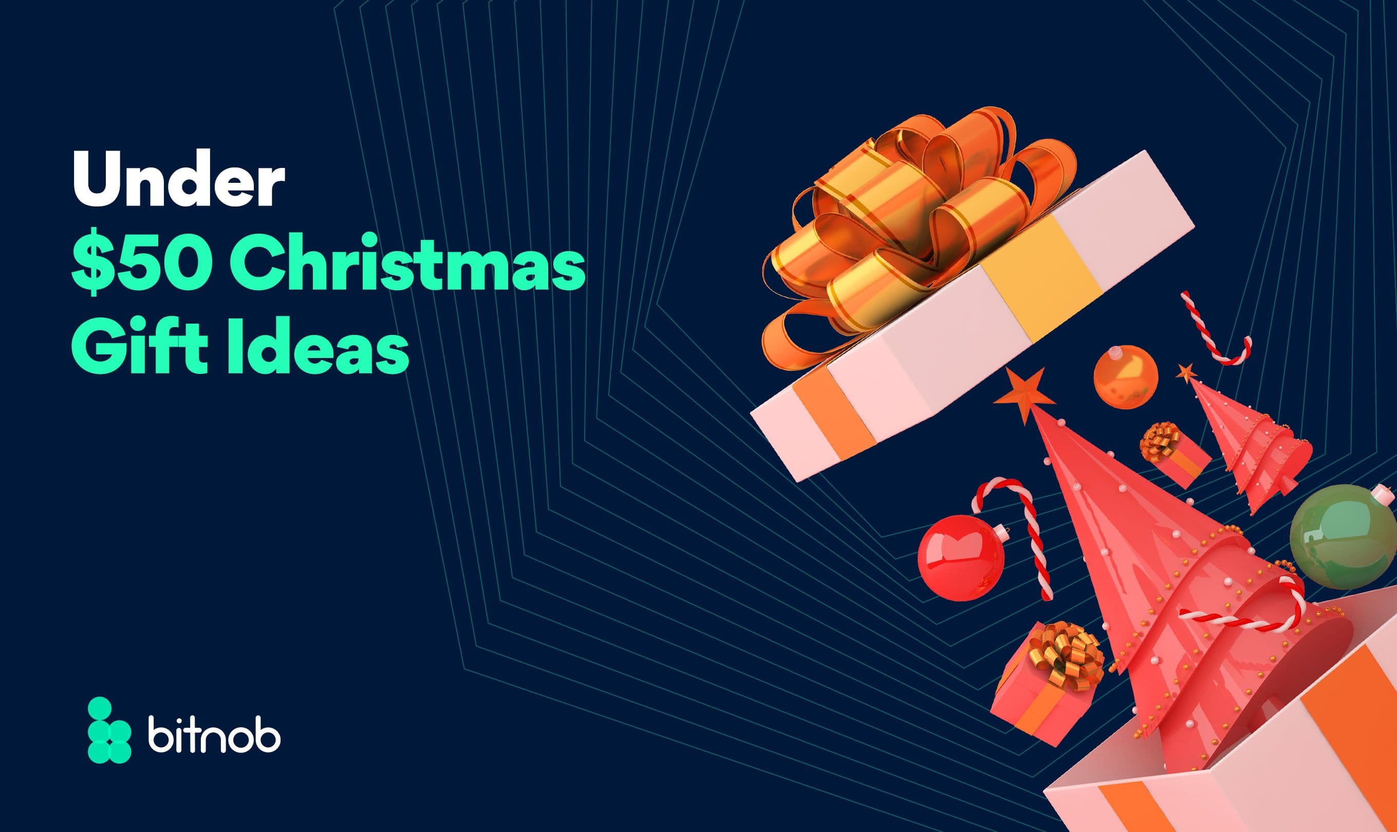 Under $50 Christmas Gift Ideas
