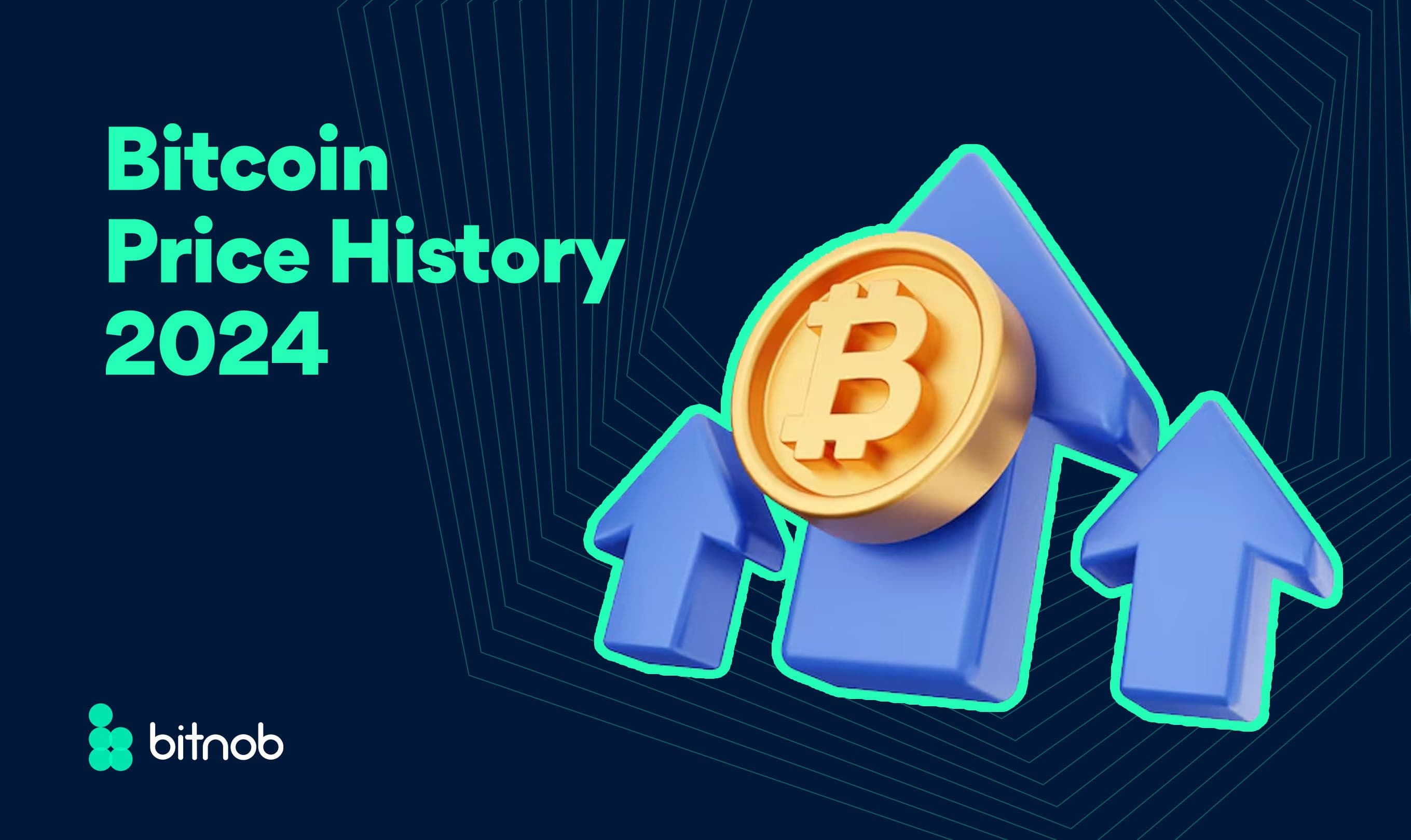 Bitcoin Price History 2024