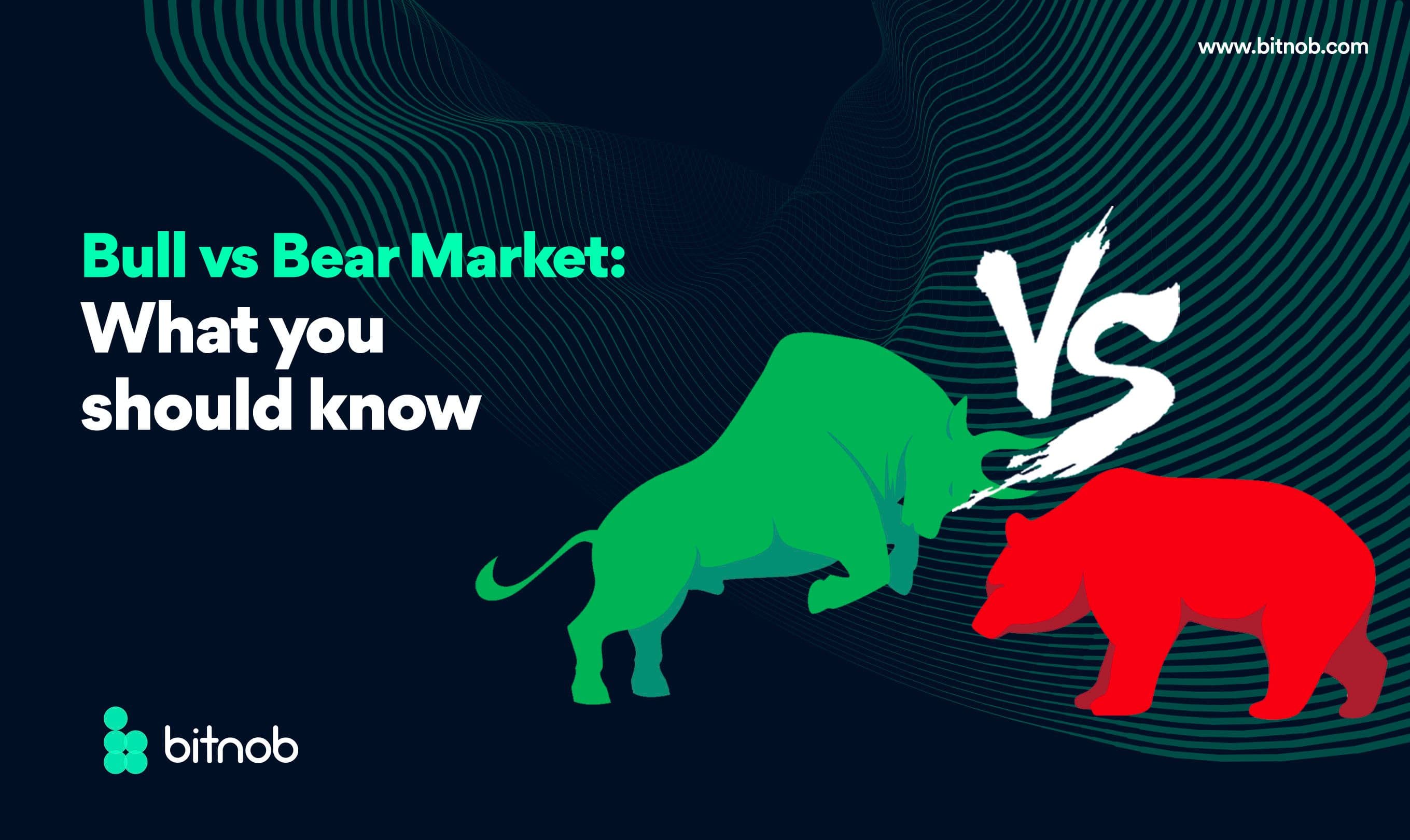 Bull Vs Bear Market: What You Should Know