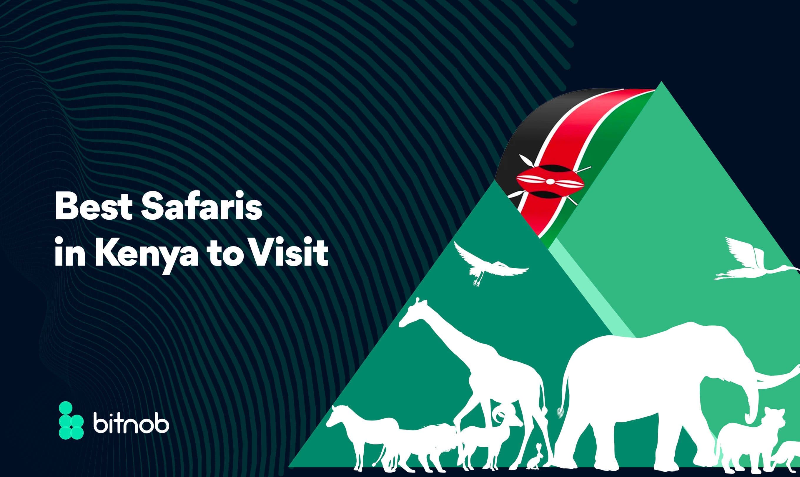 Best Safaris to Visit in Kenya