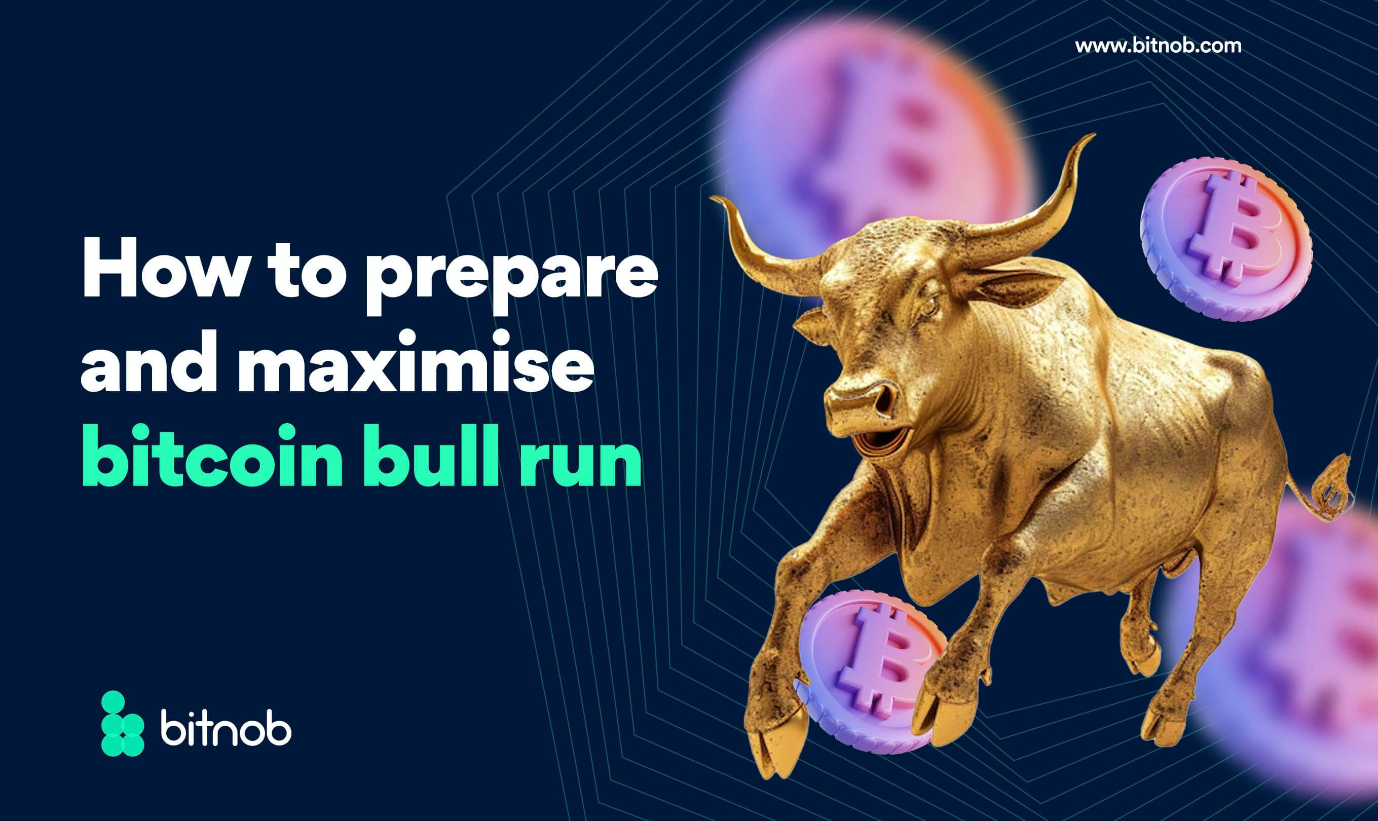 How to Prepare and Maximize the Bitcoin Bull Run
