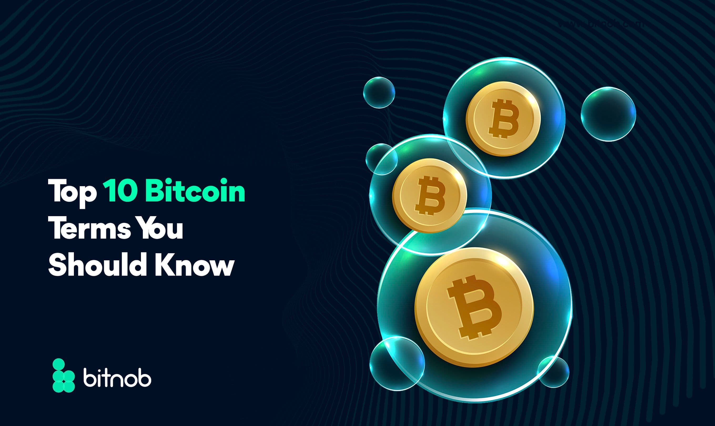 Top 10 Bitcoin Terms You Should Know