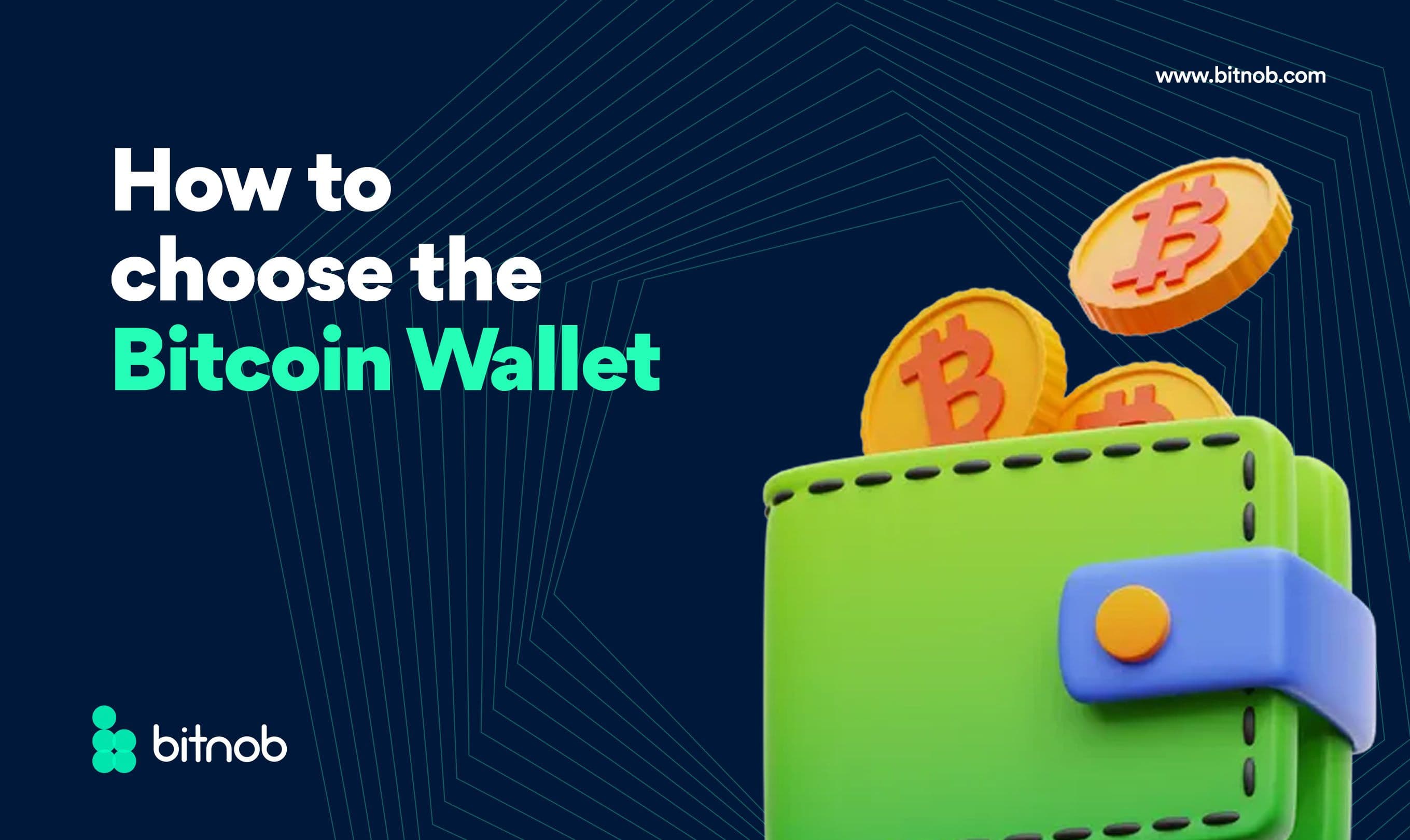  How To Choose a Bitcoin Wallet